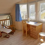 Wildgans 130 Ferienhaus Mirow